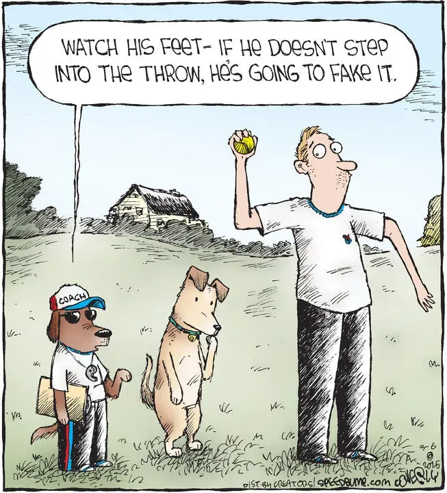 Speed Bump for Mar 06, 2025