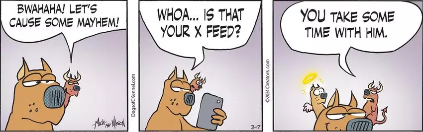 Dogs of C-Kennel for Mar 07, 2024