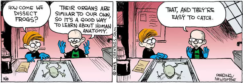 Zack Hill for Mar 08, 2023