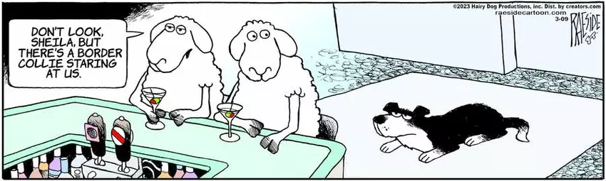 The Other Coast for Mar 09, 2023