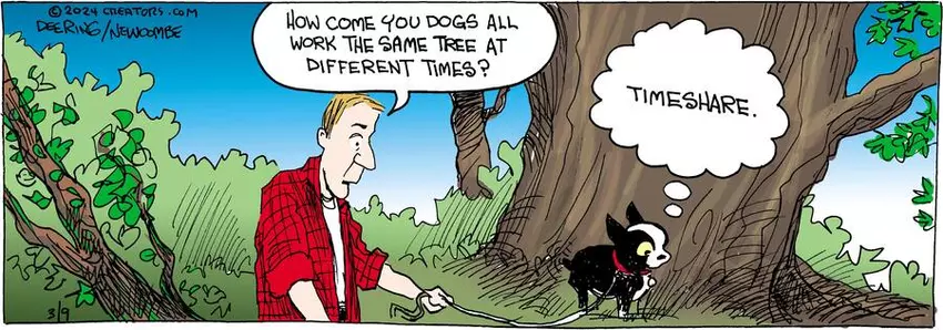 Zack Hill for Mar 09, 2024