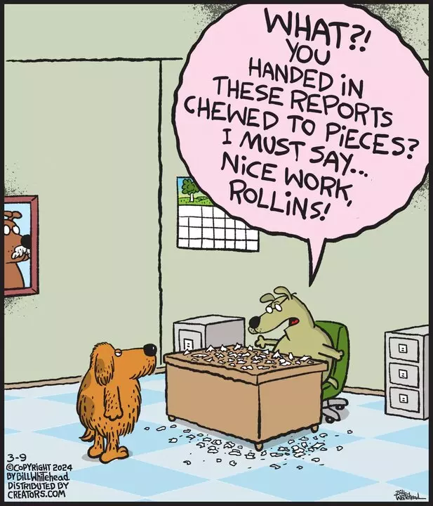 Free Range for Mar 09, 2024