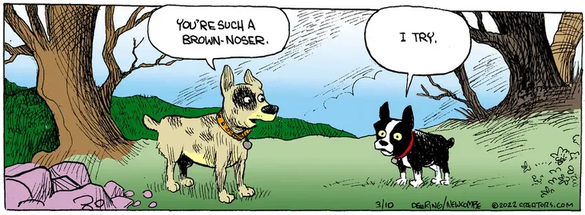 Zack Hill for Mar 10, 2022