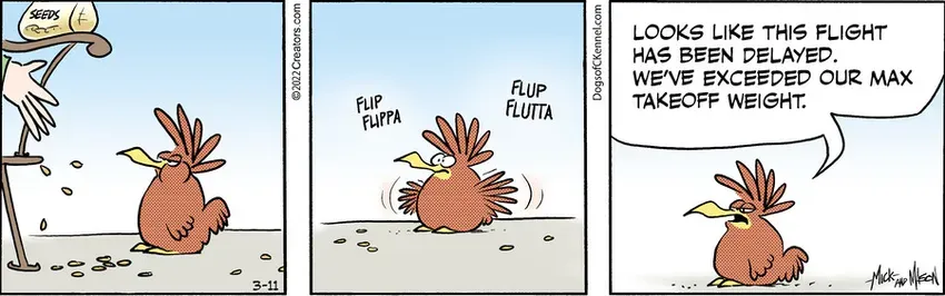 Dogs of C-Kennel for Mar 11, 2022