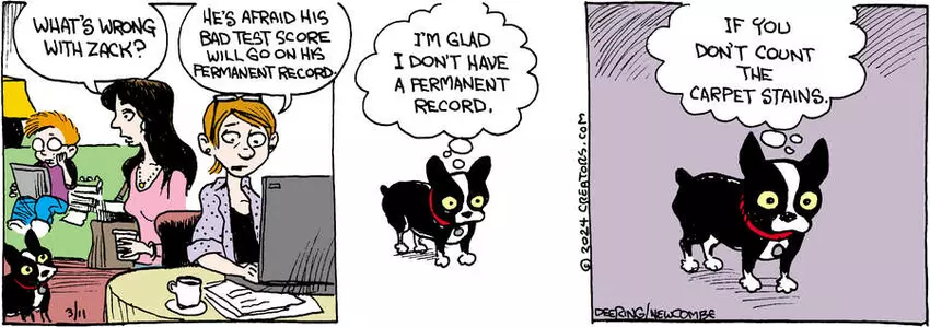 Zack Hill for Mar 11, 2024