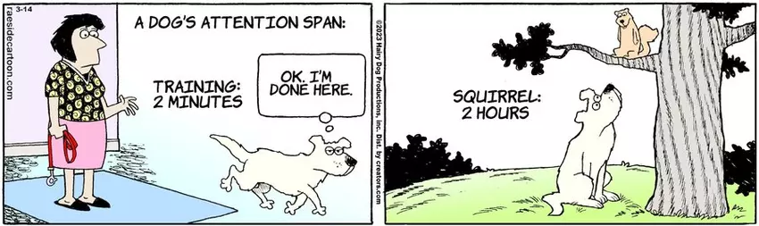 The Other Coast for Mar 14, 2023