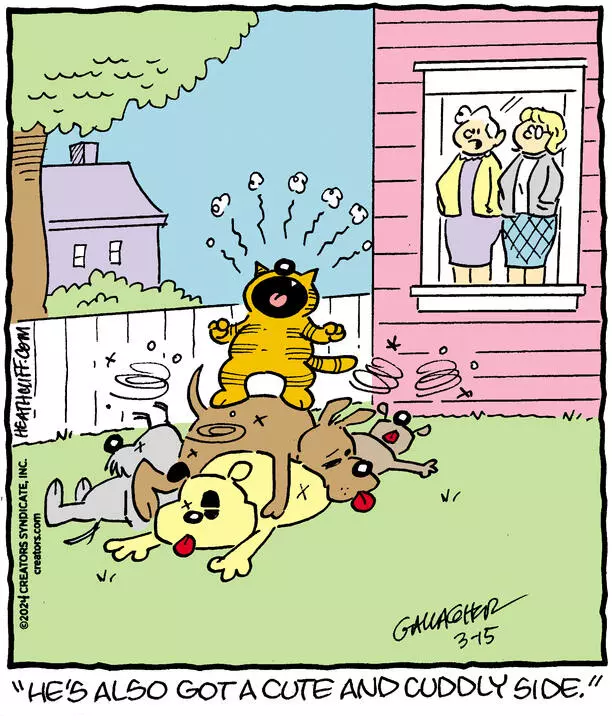 Heathcliff for Mar 15, 2024