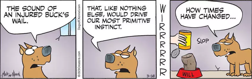 Dogs of C-Kennel for Mar 16, 2023