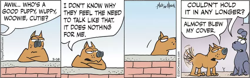 Dogs of C-Kennel for Mar 16, 2024