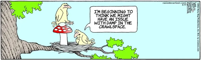 The Other Coast for Mar 17, 2022