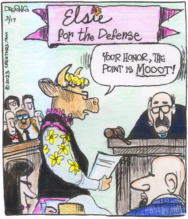 Strange Brew for Mar 17, 2023