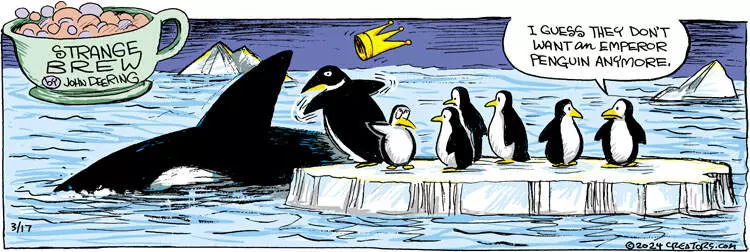 Strange Brew for Mar 17, 2024