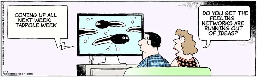 The Other Coast for Mar 18, 2021