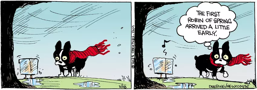 Zack Hill for Mar 18, 2023