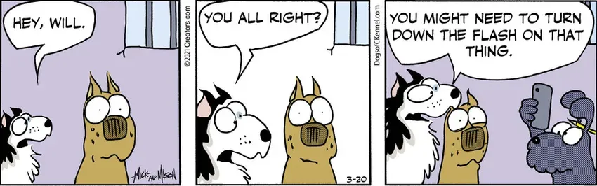 Dogs of C-Kennel for Mar 20, 2021