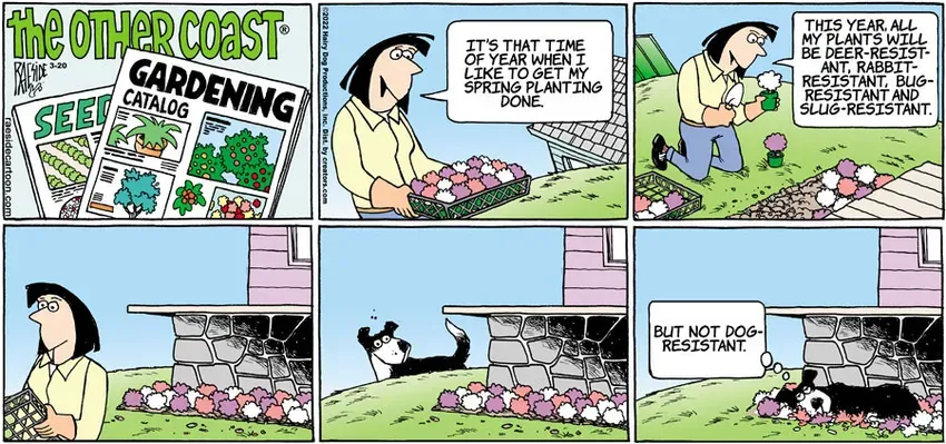 The Other Coast for Mar 20, 2022