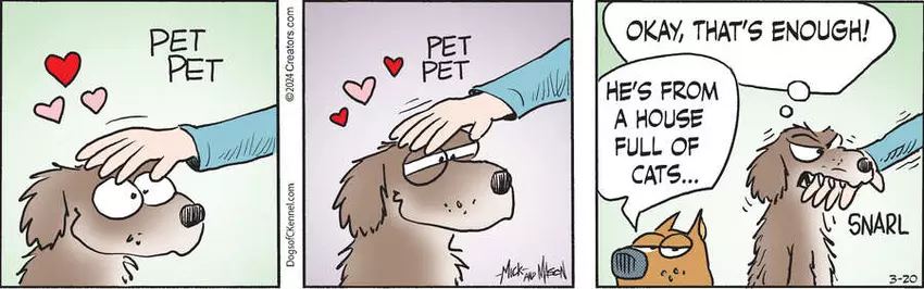 Dogs of C-Kennel for Mar 20, 2024