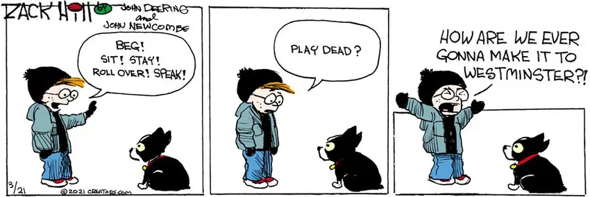 Zack Hill for Mar 21, 2021