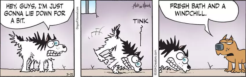 Dogs of C-Kennel for Mar 21, 2024