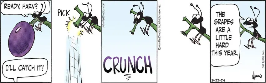 B.C. for Mar 22, 2024