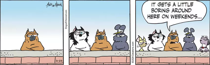 Dogs of C-Kennel for Mar 23, 2024