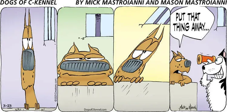 Dogs of C-Kennel for Mar 23, 2025