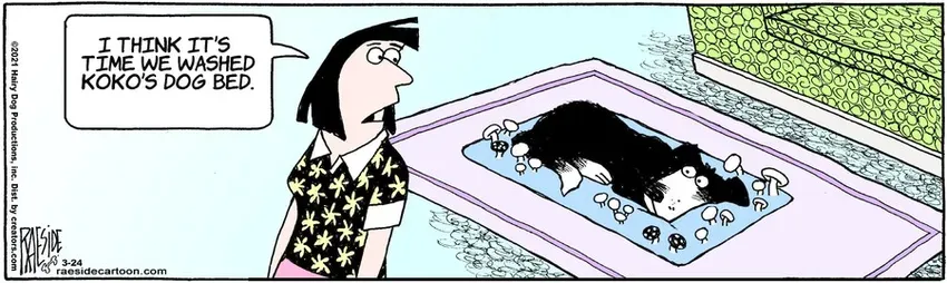 The Other Coast for Mar 24, 2021