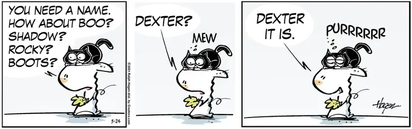 The Barn for Mar 24, 2021