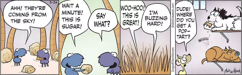 Dogs of C-Kennel for Mar 24, 2023