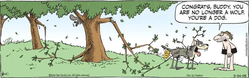 B.C. for Mar 24, 2025