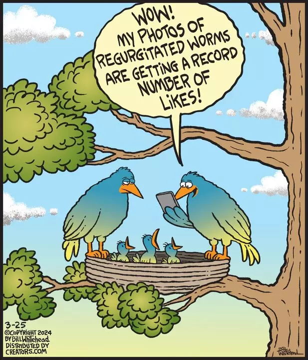 Free Range for Mar 25, 2024