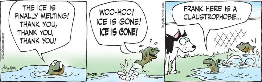 Dogs of C-Kennel for Mar 25, 2025