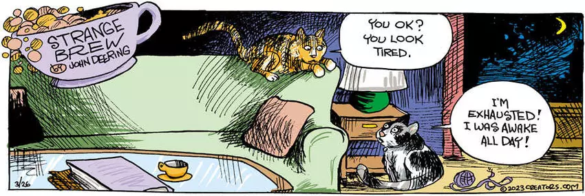 Strange Brew for Mar 26, 2023