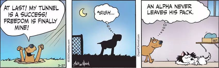 Dogs of C-Kennel for Mar 27, 2023