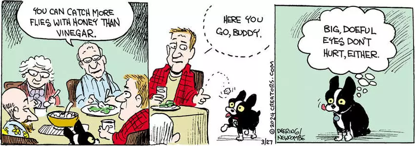 Zack Hill for Mar 27, 2024