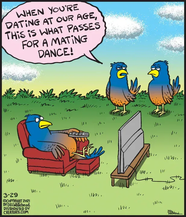 Free Range for Mar 29, 2021