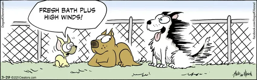 Dogs of C-Kennel for Mar 29, 2021