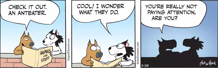 Dogs of C-Kennel for Mar 29, 2023