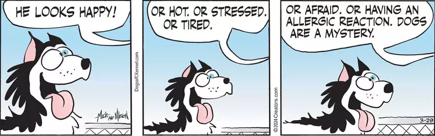Dogs of C-Kennel for Mar 29, 2024