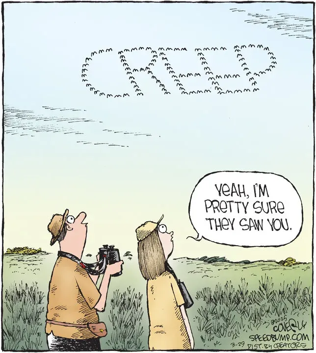 Speed Bump for Mar 29, 2025