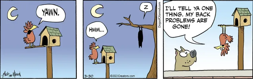 Dogs of C-Kennel for Mar 30, 2022