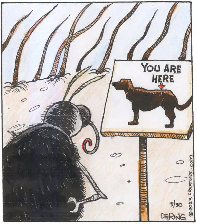 Strange Brew for Mar 30, 2023