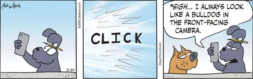 Dogs of C-Kennel for Mar 30, 2024