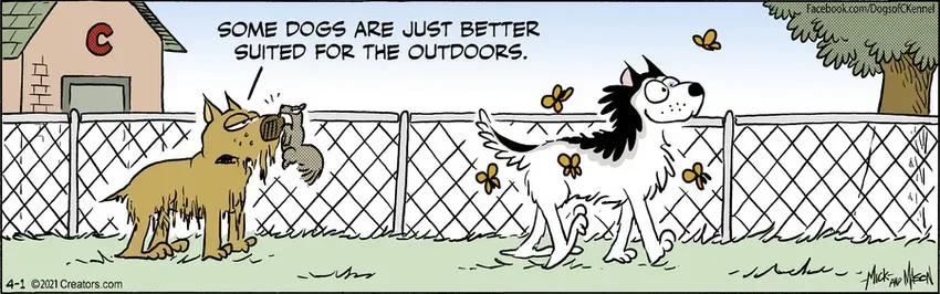 Dogs of C-Kennel for Apr 01, 2021