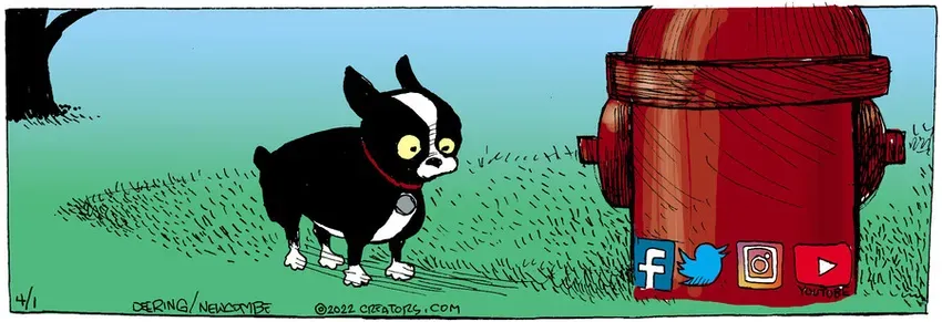 Zack Hill for Apr 01, 2022