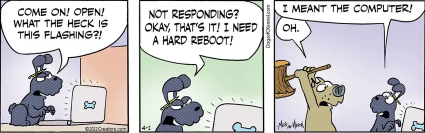 Dogs of C-Kennel for Apr 01, 2022