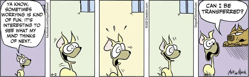 Dogs of C-Kennel for Apr 02, 2021
