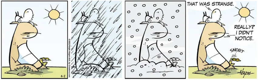 The Barn for Apr 02, 2022