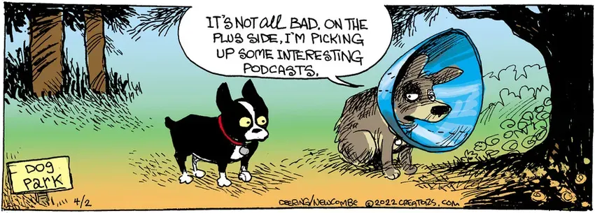 Zack Hill for Apr 02, 2022