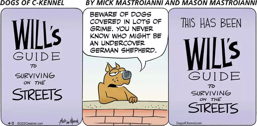 Dogs of C-Kennel for Apr 02, 2023